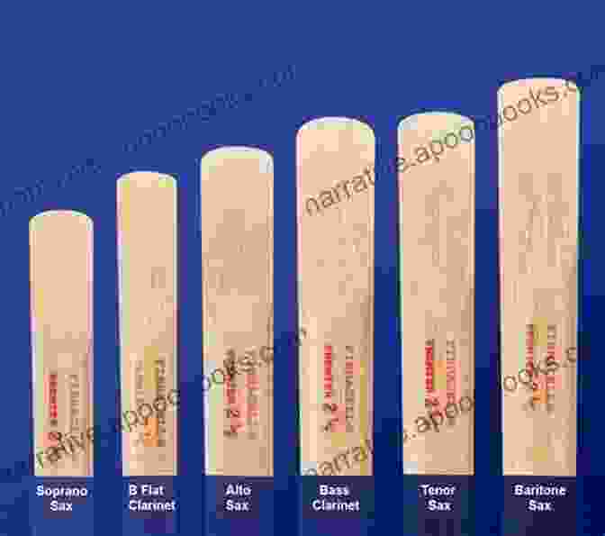 A Box Of Fibracell Reeds Comparative Strengths Board Of Different Reeds Brands For Baritone Saxophone (Eb)