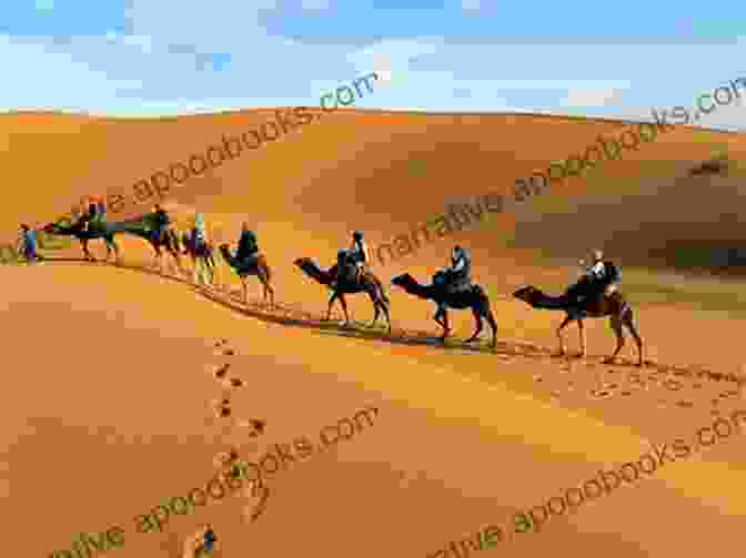 A Camel Walking Through The Desert The Ship Of Desert: Best Companion Of Old