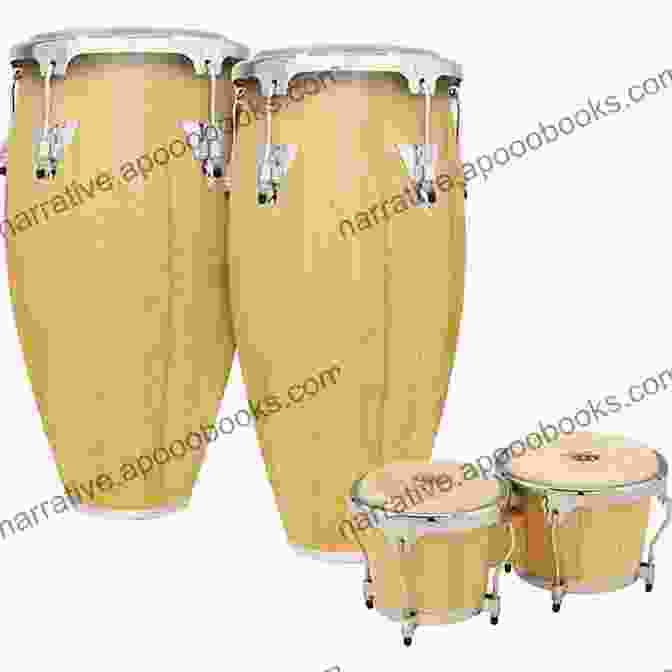 A Collection Of Hand Percussion Instruments, Including Bongos, Congas, And Shakers Beginner S Guide To Percussion: Crash Cymbals: A Quick Reference Guide To Percussion Instruments And How To Play Them