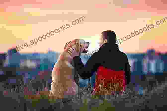 A Dog And Its Owner Sharing A Loving Embrace The Artistry Of A Dog