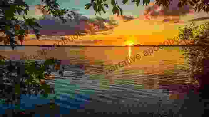 A Father And Son Casting Lines Into A Sparkling Lake, Surrounded By Serene Nature Fishing Days With Dad William McCurrach