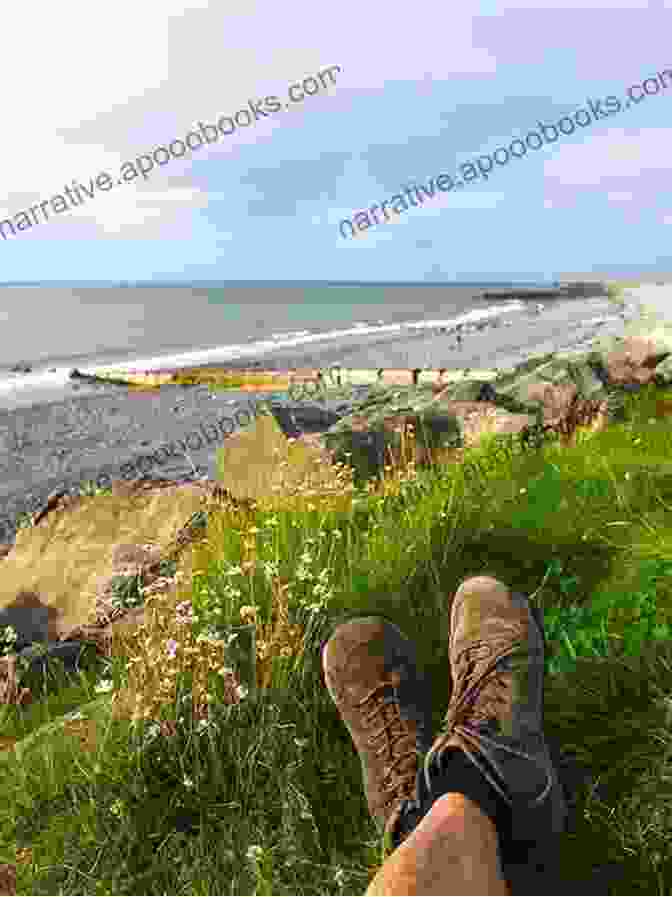 A Hiker Enjoying The Solitude And Serenity Of The Ceredigion Coast Path. The Ceredigion And Snowdonia Coast Paths: The Wales Coast Path From Porthmadog To St Dogmaels (Cicerone Guides)