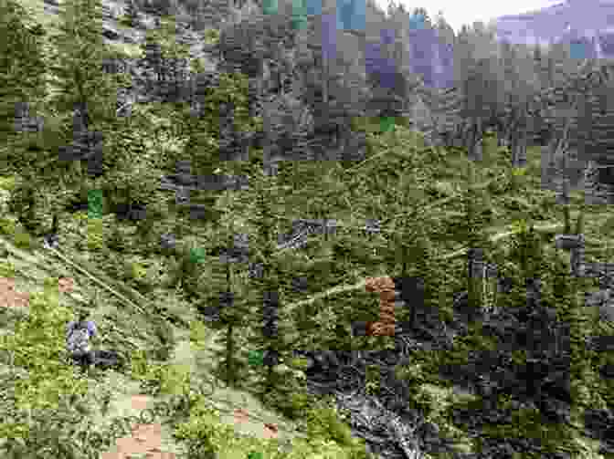 A Lone Hiker Navigating A Rocky Section Of The Long Trail, Surrounded By Dense Forest And A Distant Mountain Summit In The Background The Long Trail (Ready For Chapters 2)