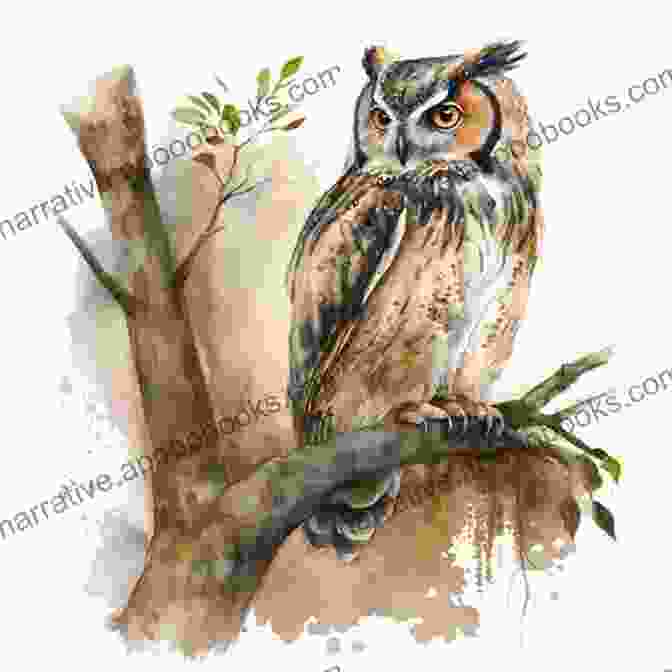 A Majestic Illustration Of The Wise Old Owl, Its Piercing Gaze Emanating Wisdom And Ancient Knowledge. Zoo Of Rare Talents Mary Diyon