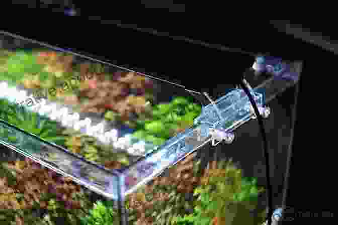 A Modern Aquarium, Showcasing Advanced Technology With LED Lighting, Automated Filtration, And Lush Aquatic Plants The Avant Garde Marine Aquarist: A 60 Year History Of Fish Keeping