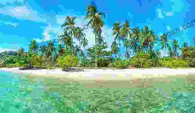 A Panoramic View Of A Secluded Tropical Island, Featuring Rolling Green Hills, Lush Palm Trees, And A Hidden Lagoon Welcome To Paradise (The Kincaids 1)