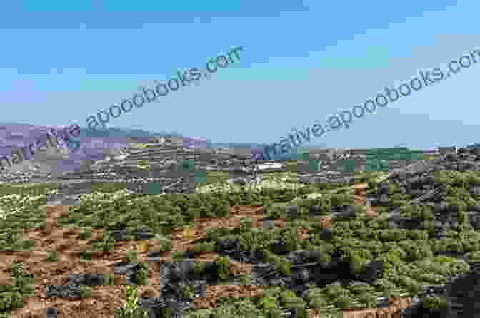 A Panoramic View Of The Stunning Cretan Landscape, With Rolling Hills, Olive Groves, And The Azure Sea In The Distance. Postcards: A Visual Escape Through Chania Crete