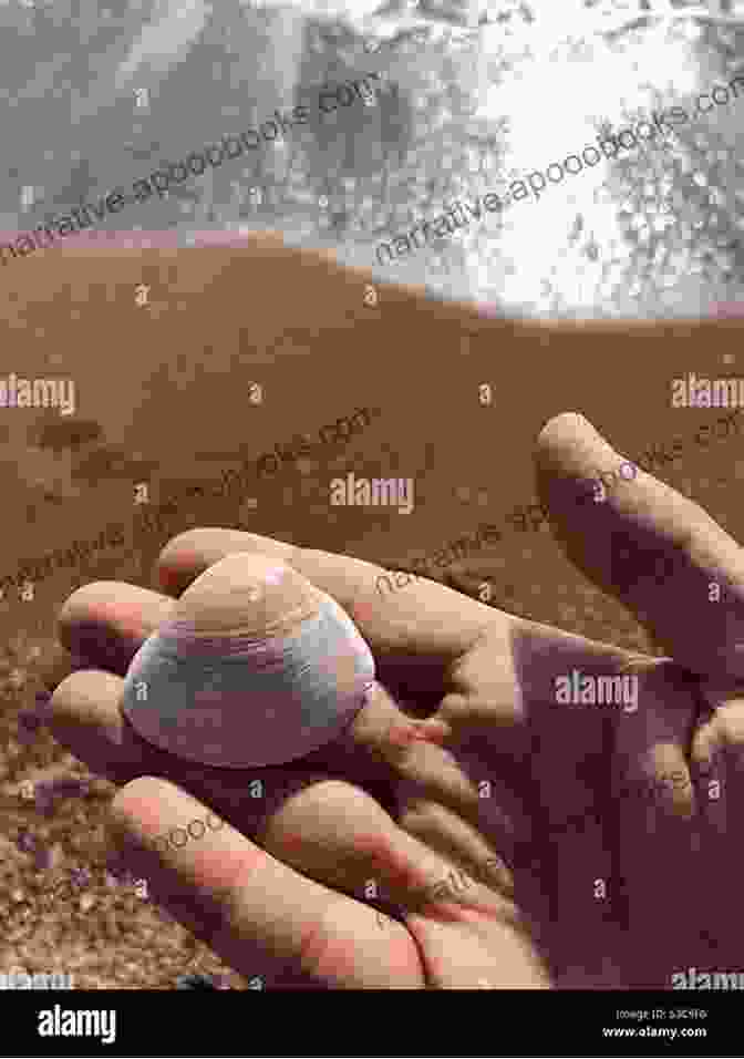 A Person Holding A Handful Of Seashells On A Sandy Beach Sea Shells Mariah Stewart