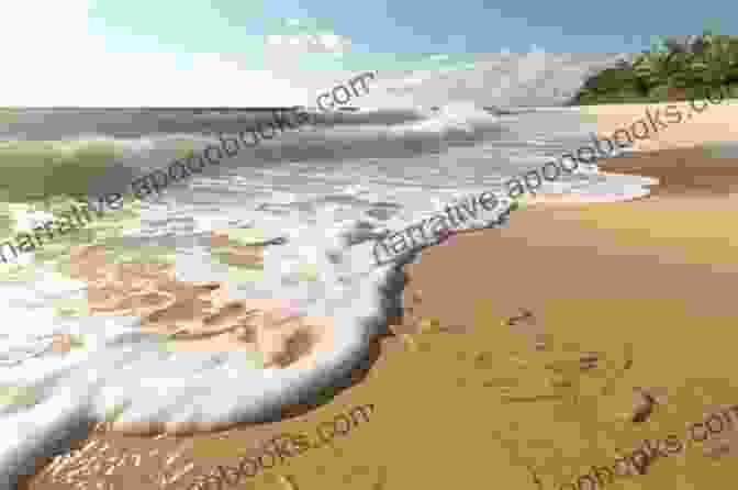 A Serene Beach Scene With Gentle Waves Lapping At The Shore Seabreeze Reunion (Summer Beach 8)