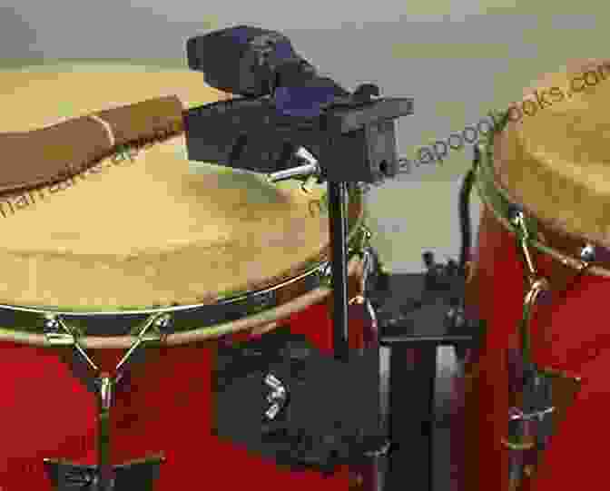 A Timpani, Djembe, And Tambourine Beginner S Guide To Percussion: Crash Cymbals: A Quick Reference Guide To Percussion Instruments And How To Play Them