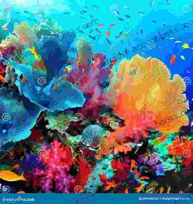 A Vibrant Coral Reef Teeming With A Kaleidoscope Of Marine Life Next Time You See A Seashell