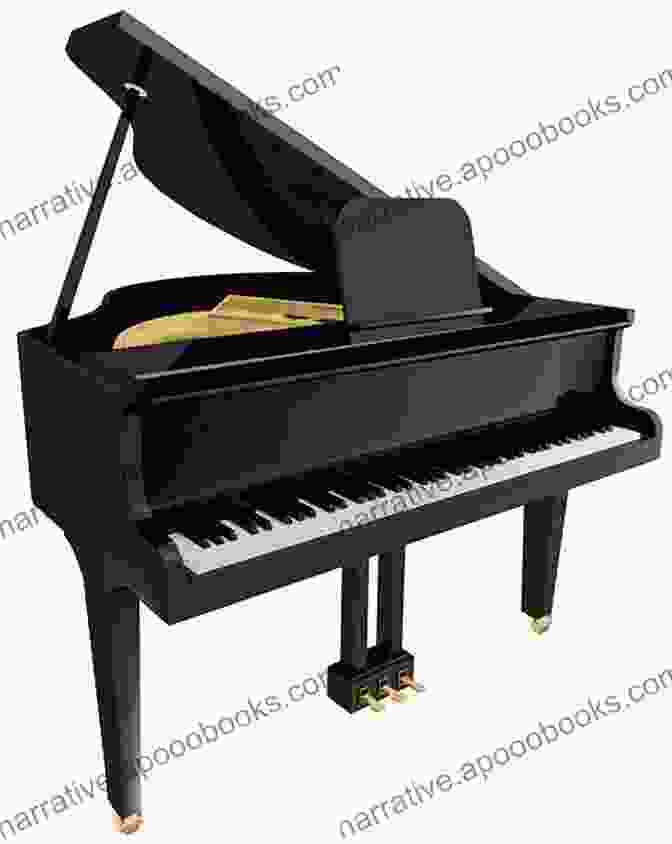 An Image Of A Piano The First Noel I Alto Sax Solo Piano Accompaniment I Sheet Music: Easy Christmas Carol Duet I Saxophone For Beginners Kids Adults Students I Online Piano Comping I Chords I Lyric