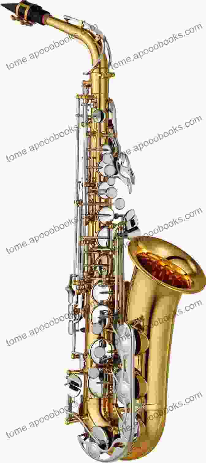 An Image Of An Alto Saxophone The First Noel I Alto Sax Solo Piano Accompaniment I Sheet Music: Easy Christmas Carol Duet I Saxophone For Beginners Kids Adults Students I Online Piano Comping I Chords I Lyric