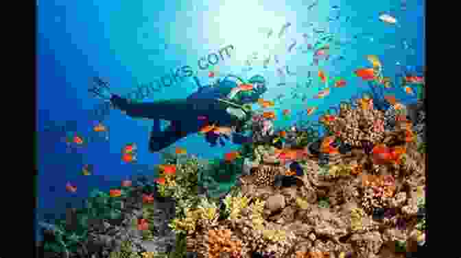 An Underwater Photograph Of A Scuba Diver Exploring A Vibrant Coral Reef, Teeming With Colorful Fish And Marine Life Welcome To Paradise (The Kincaids 1)