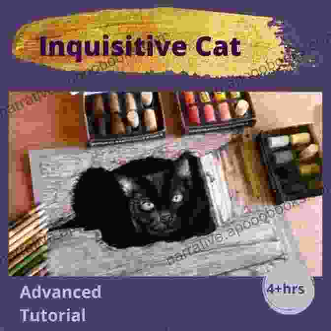 Blackie, Hemingway's Bold And Inquisitive Black Cat Hemingway S Cats: An Illustrated Biography