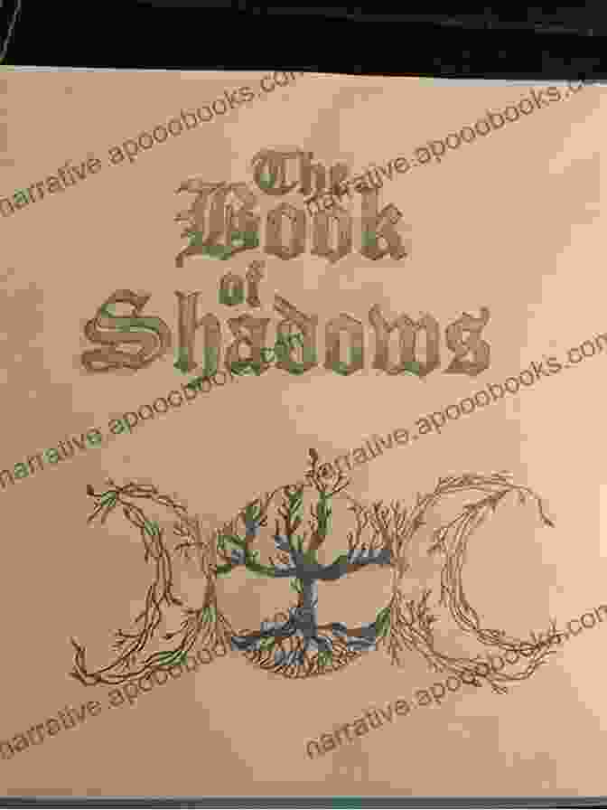 Book Cover Of Shadow Rule: Shattered Kingdom, Featuring A Silhouette Of A Warrior Facing A Shadowy Figure In A Mystical Forest. Shadow Rule (Shattered Kingdom 3)