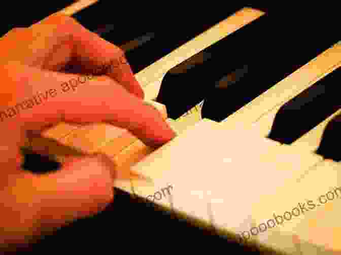 Close Up Of Hands Playing A Keyboard Instrument Christmas Songs For Clarinet: Easy Sheet Music For Beginners Children And Students Of All Ages I Chord Symbols In C I Lyric I Popular Classical Carols Of All Time I First Of Clarinet Solo Simple