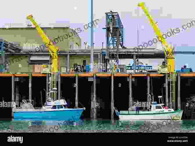 Commercial Fishing Boats Unloading Cod At A Processing Plant Alaska Codfish Chronicle: A History Of The Pacific Cod Fishery In Alaska