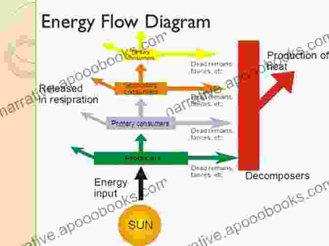 Diagram Illustrating The Flow Of Energy Between Multipolar Dimensions Nation State Cyber Offensive Capabilities: An In Depth Look Into A Multipolar Dimension