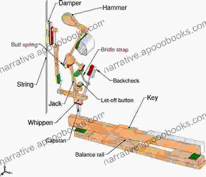 Diagram Of A Piano Action Mechanism, Showing The Interplay Of Forces. Physics Of The Piano Nicholas J Giordano