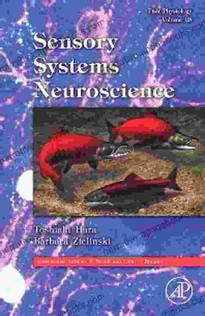 Fish Sensory Systems Neuroscience Research Fish Physiology: Sensory Systems Neuroscience (ISSN 25)