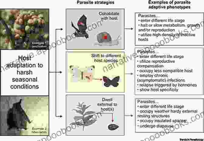 Host's Perspective On Parasitism The World Free Download: A Study In The Hegemony Of Parasitism