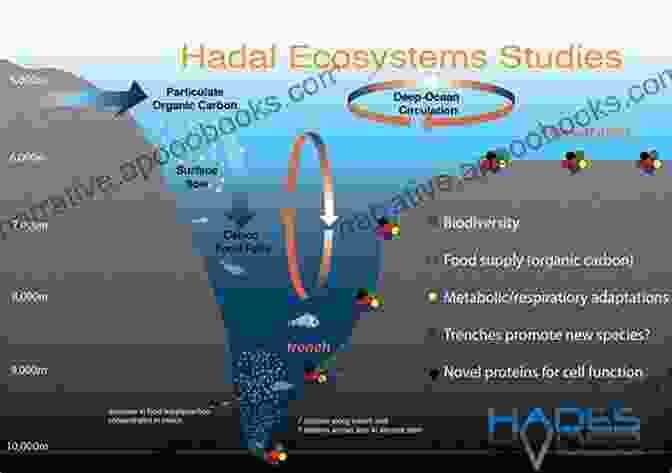 Image Of A Submersible Exploring The Hadal Zone Oceanography And Marine Biology: An Annual Review Volume 57 (Oceanography And Marine Biology An Annual Review)