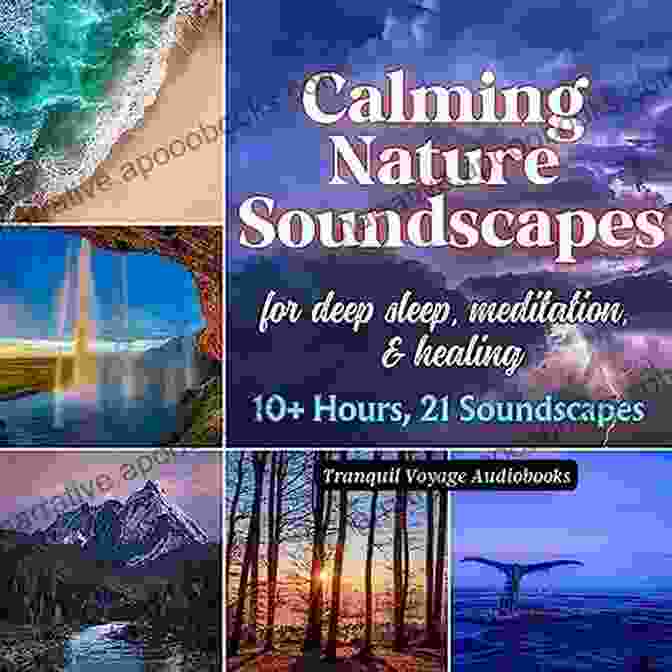 Individual Immersed In The Tranquil Soundscape Of Nature, Embracing The Healing Power Of Silence. Body Sound And Space In Music And Beyond: Multimodal Explorations (SEMPRE Studies In The Psychology Of Music)