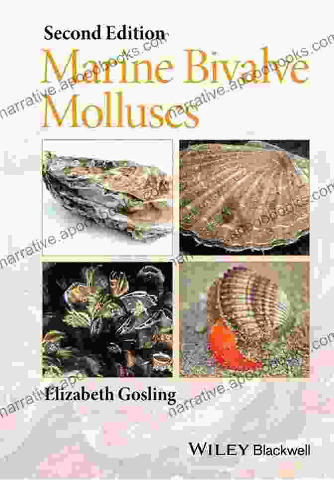 Marine Bivalve Molluscs Book Cover By Elizabeth Gosling Marine Bivalve Molluscs Elizabeth Gosling