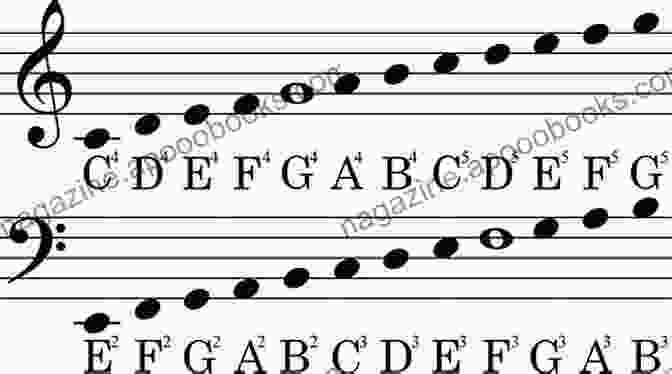 Musical Notes On A Staff Music Theory For Beginners: A Beginner S Guide To Learning The Basics Of Music Theory