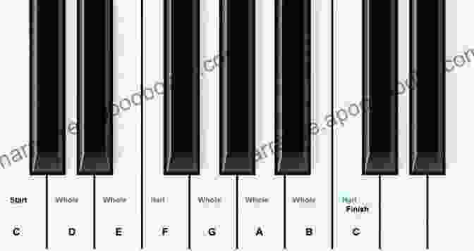 Piano Keyboard With Highlighted Notes Maple Leaf Rag Scott JOPLIN * Original Version * Medium Piano Sheet Music For Advanced Pianists: Big Notes * Popular Ragtime * Video Tutorial * You Should Play On Piano