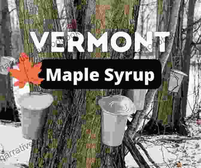 Sugar Maple Tree, Representing Vermont's Sweet Tradition Of Maple Syrup Production Vermont Icons: 50 Classic Symbols Of The Green Mountain State