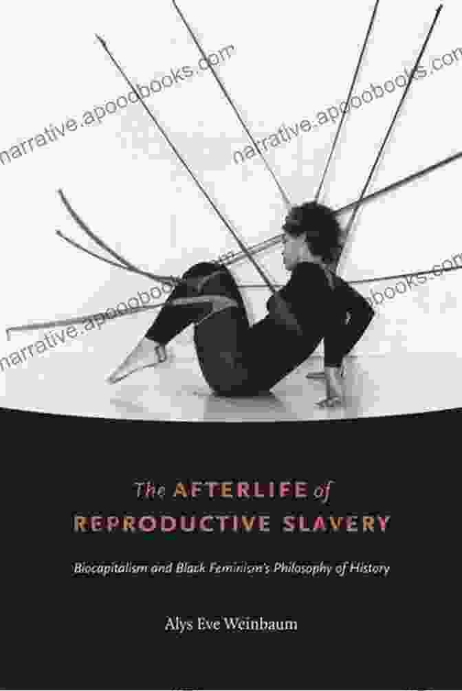 The Afterlife Of Reproductive Slavery Book Cover The Afterlife Of Reproductive Slavery: Biocapitalism And Black Feminism S Philosophy Of History