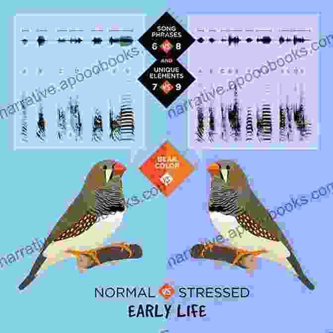 Zebra Finch Health Issues A Guide To Zebra Finches Their Colour Varieties Management And Breeding