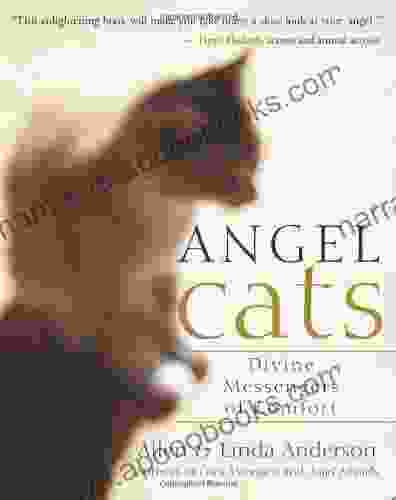 Angel Cats: Divine Messengers Of Comfort