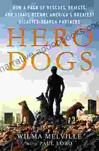 Hero Dogs: How A Pack Of Rescues Rejects And Strays Became America S Greatest Disaster Search Partners