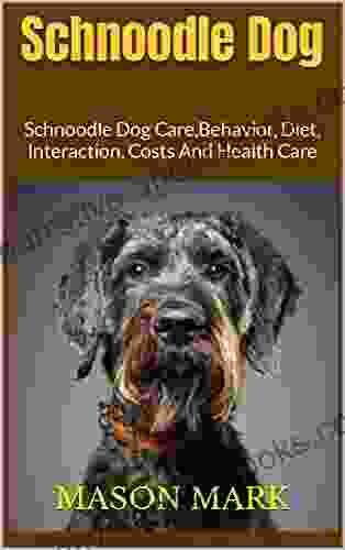 Schnoodle Dog : Schnoodle Dog Care Behavior Diet Interaction Costs And Health Care