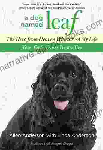 Dog Named Leaf: The Hero From Heaven Who Saved My Life (New York Times Best Seller)