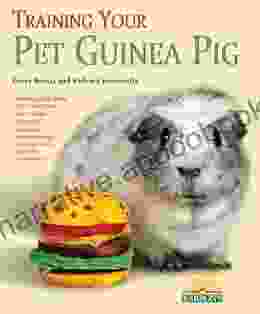 Training Your Guinea Pig (Training Your Pet Series)