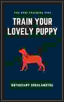 Train Your Lovely Puppy: The Best Training Tips