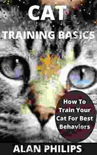 CAT TRAINING BASICS: HOW TO TRAIN YOUR CAT FOR BEST BEHAVIORS