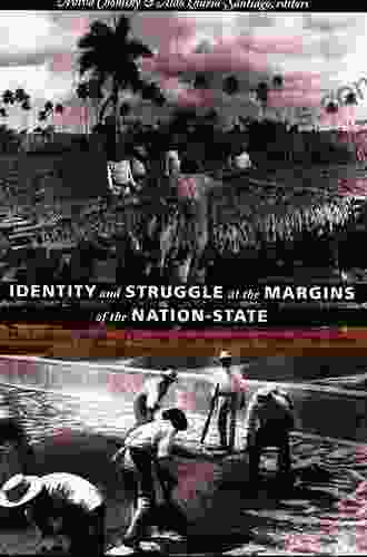 Identity And Struggle At The Margins Of The Nation State: The Laboring Peoples Of Central America And The Hispanic Caribbean (Comparative And International Working Class History)
