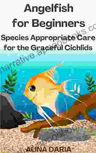 Angelfish for Beginners Species Appropriate Care for the Graceful Cichlids