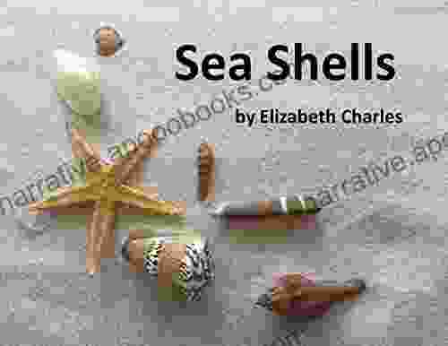 Sea Shells Mariah Stewart