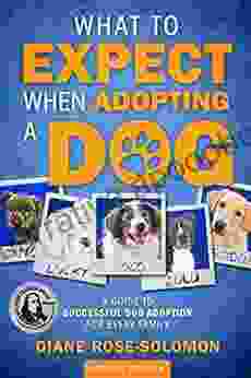 What To Expect When Adopting A Dog: A Guide To Successful Dog Adoption For Every Family